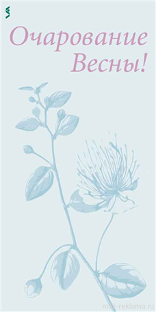 Picture. Graphic design for booklet. Examples of our work. Image gallery. Graphic design for print materials.
