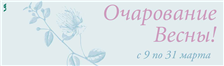 Layout developing for advertising