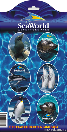 Picture. Layout developing for advertising. Examples of our work. Image gallery. Graphic design for print materials.