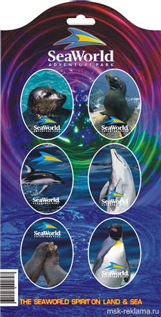 Picture. Graphic art (polygraphy). Examples of our work. Image gallery. Graphic design for print materials.