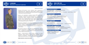 Advertising in journals and newspapers