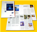 Graphic design for brochure