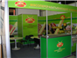 Advertising Agency
